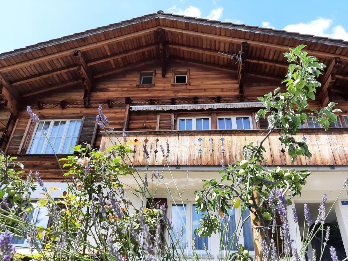 Cozy Chalet By Interlaken. Parking Рінґґенберґ Екстер'єр фото